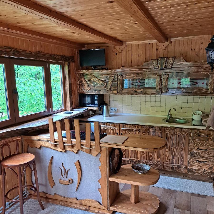 Зарінок Карпат Villa Mykulychyn Ngoại thất bức ảnh